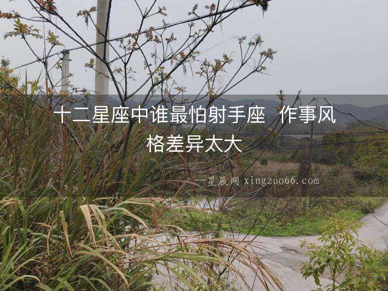 十二星座中誰最怕射手座  作事風(fēng)格差異太大