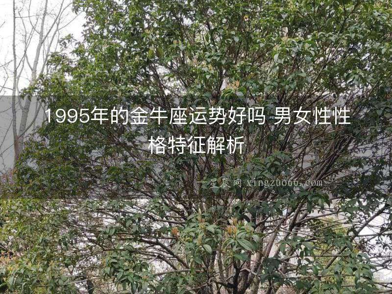 1995年的金牛座運(yùn)勢(shì)好嗎 男女性性格特征解析