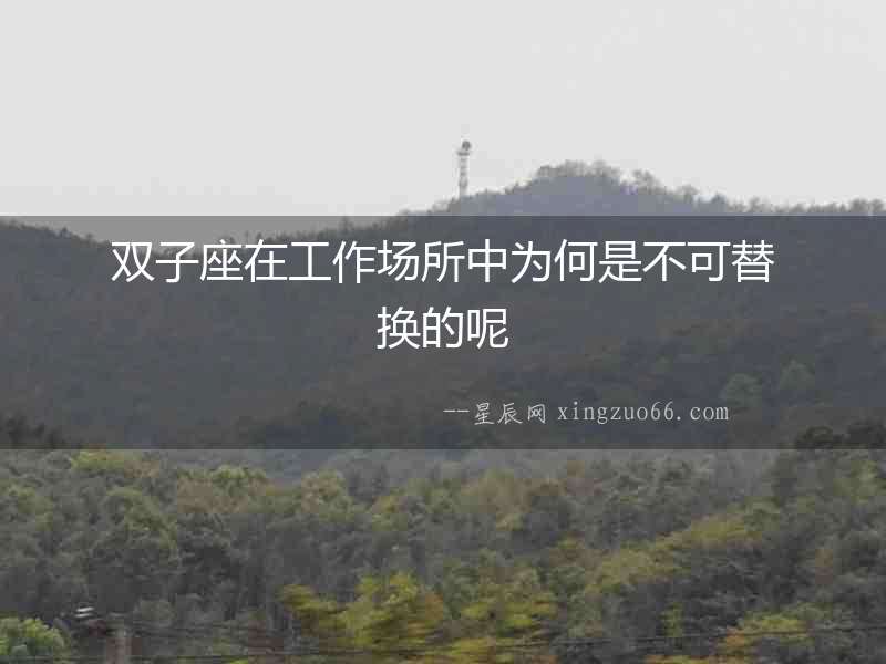 雙子座在工作場(chǎng)所中為何是不可替換的呢