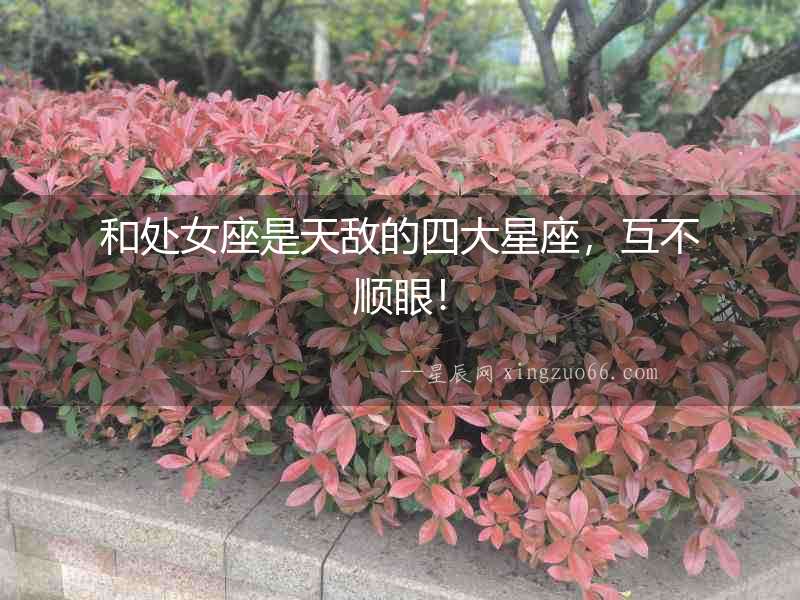 和處女座是天敵的四大星座，互不順眼！