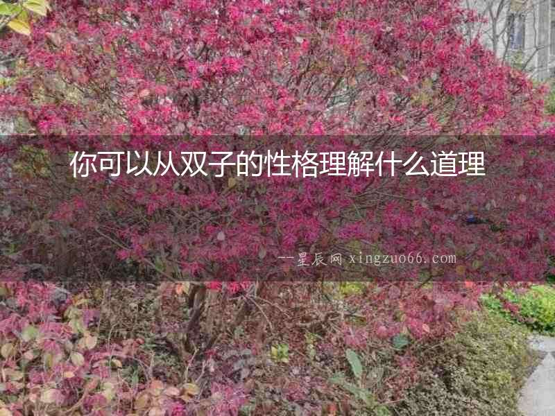 你可以從雙子的性格理解什么道理