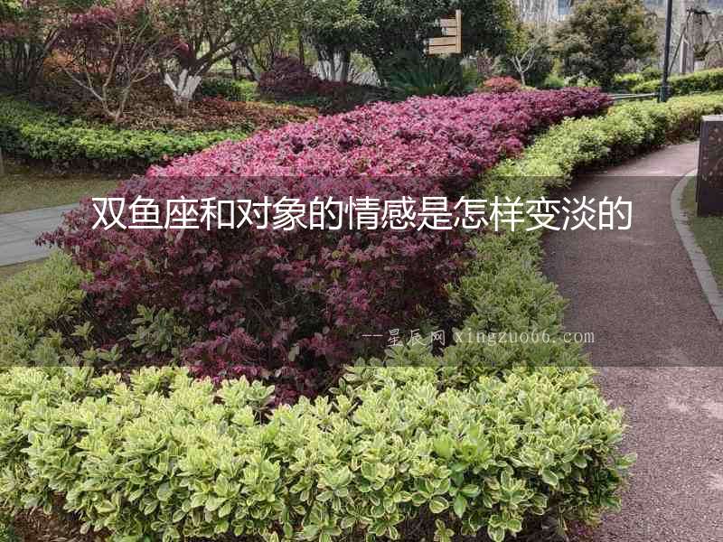 雙魚座和對象的情感是怎樣變淡的