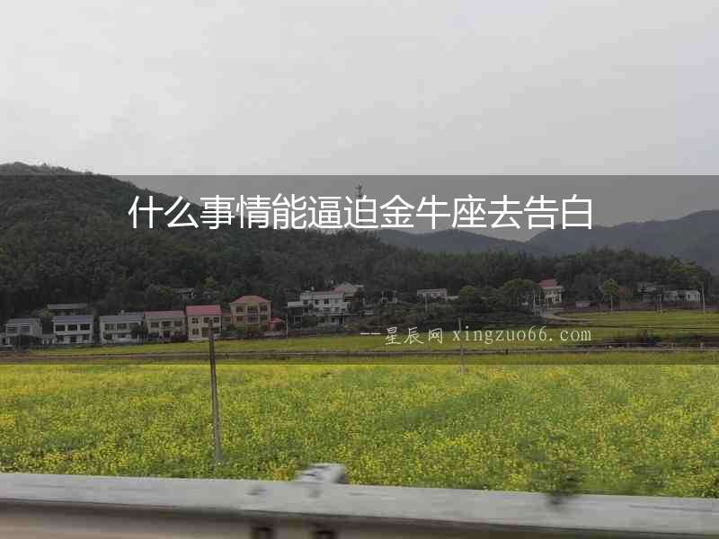 什么事情能逼迫金牛座去告白