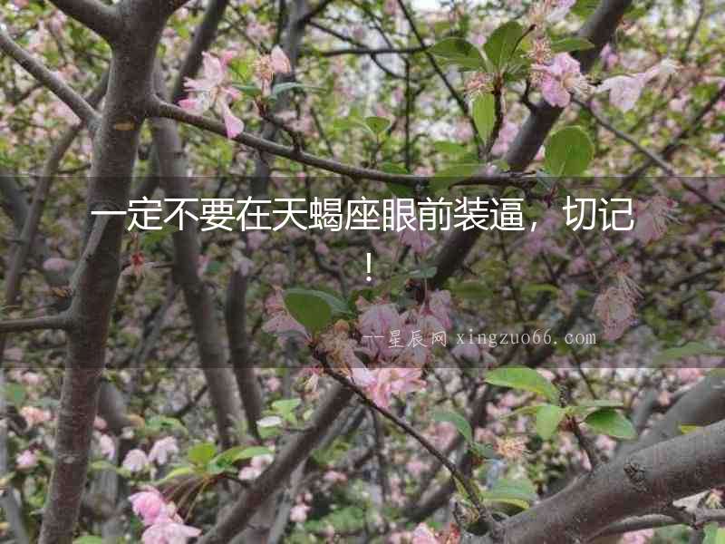 一定不要在天蝎座眼前裝逼，切記！