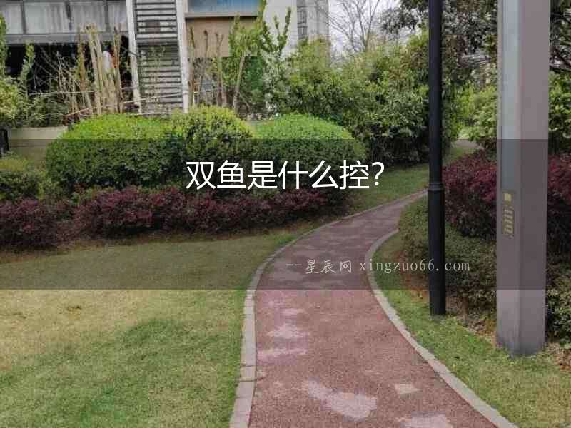 雙魚是什么控？