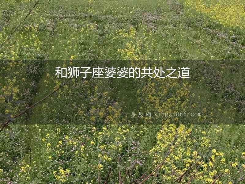和獅子座婆婆的共處之道