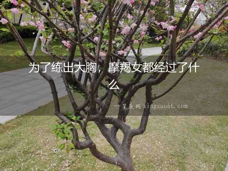 為了練出大胸，摩羯女都經(jīng)過了什么