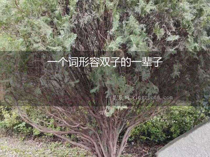 一個詞形容雙子的一輩子