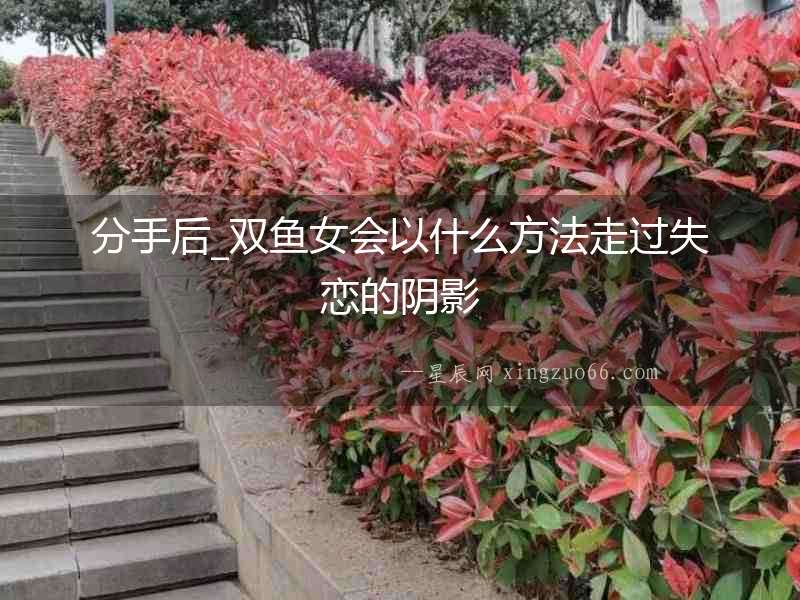 分手后_雙魚女會以什么方法走過失戀的陰影