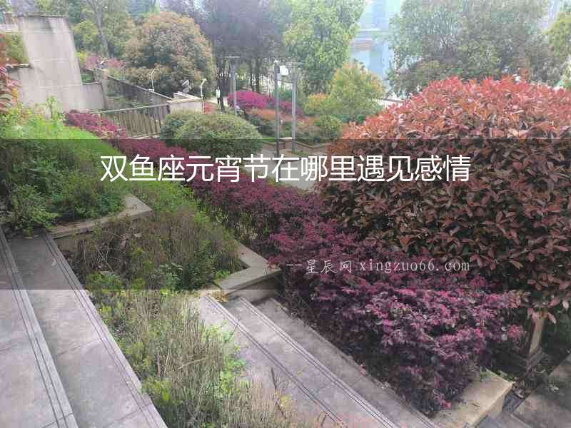 雙魚座元宵節在哪里遇見感情