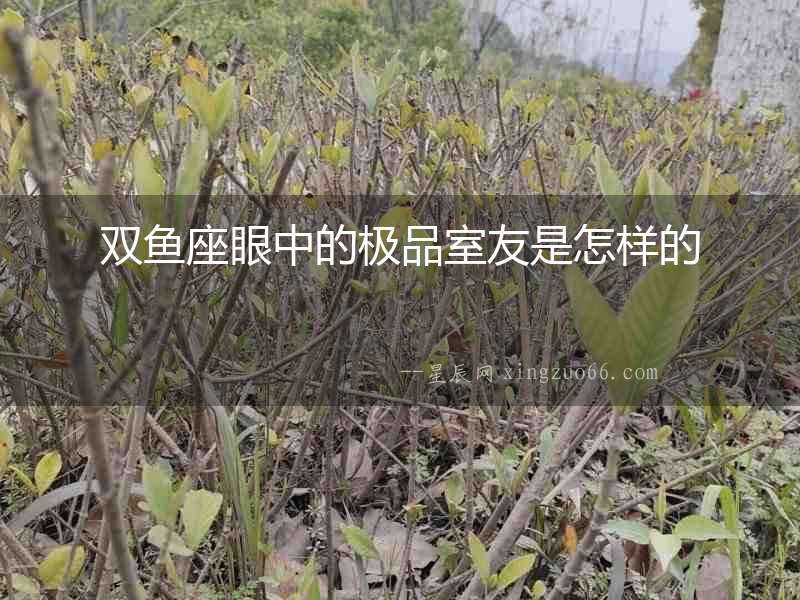 雙魚座眼中的極品室友是怎樣的
