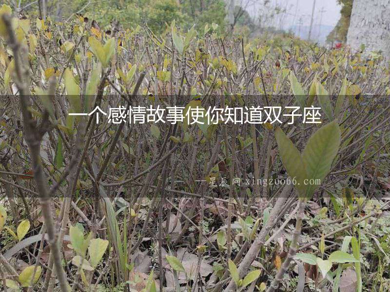 一個感情故事使你知道雙子座