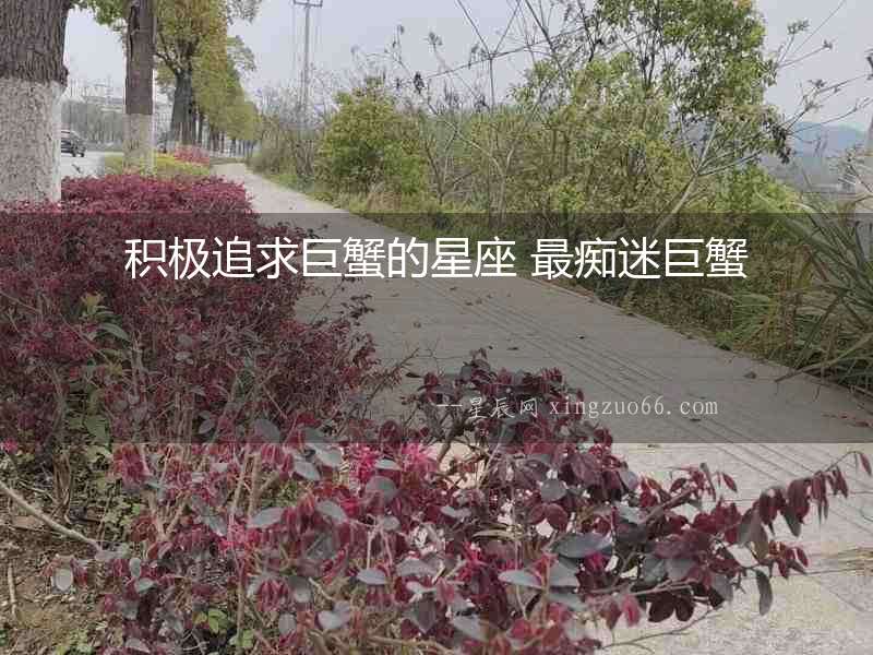 積極追求巨蟹的星座 最癡迷巨蟹