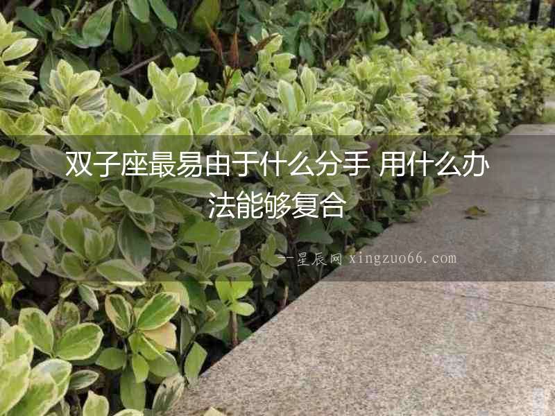 雙子座最易由于什么分手 用什么辦法能夠復合