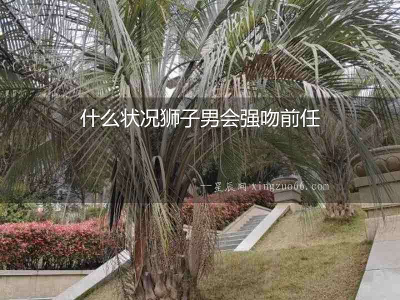 什么狀況獅子男會強吻前任