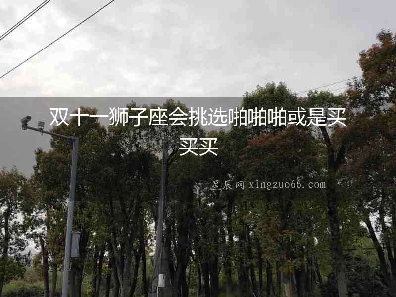 雙十一獅子座會挑選啪啪啪或是買買買
