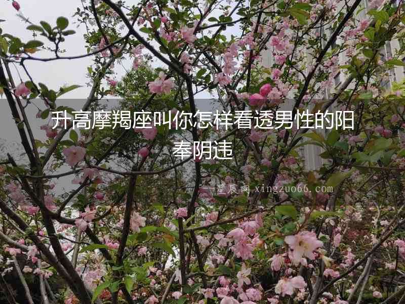 升高摩羯座叫你怎樣看透男性的陽奉陰違