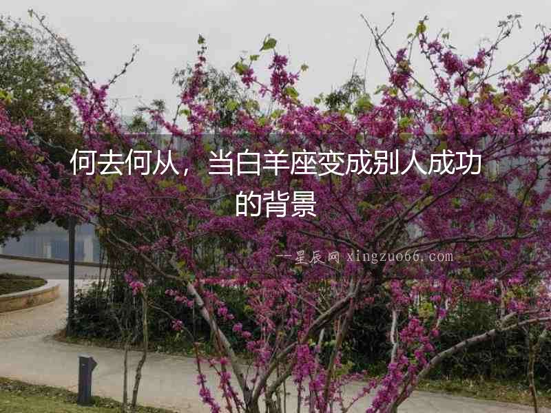 何去何從，當白羊座變成別人成功的背景