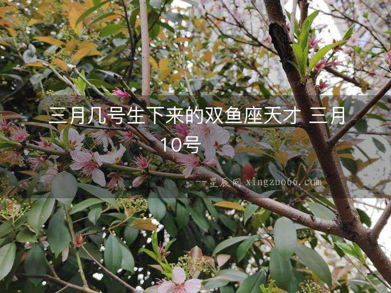 三月幾號生下來的雙魚座天才 三月10號  　　