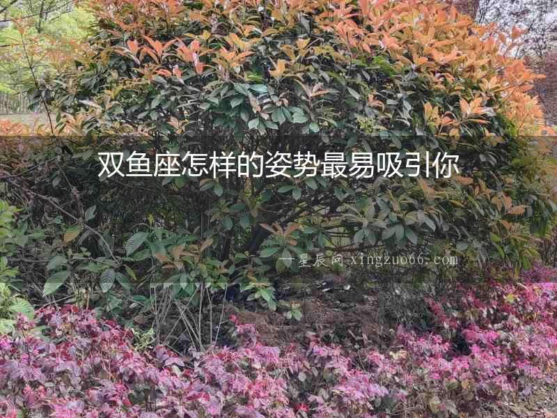 雙魚座怎樣的姿勢最易吸引你