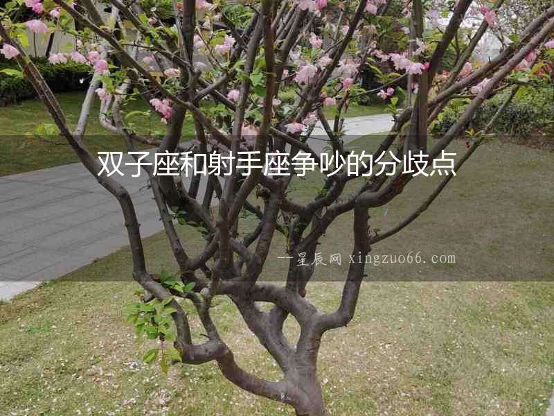 雙子座和射手座爭吵的分歧點