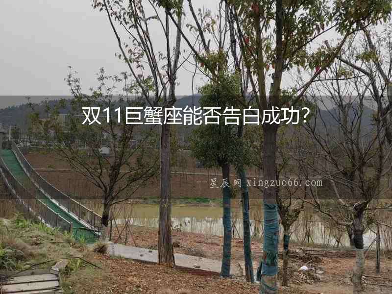 雙11巨蟹座能否告白成功？