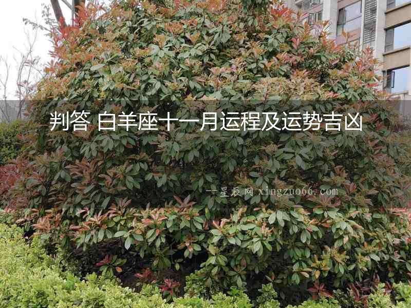 判答 白羊座十一月運程及運勢吉兇