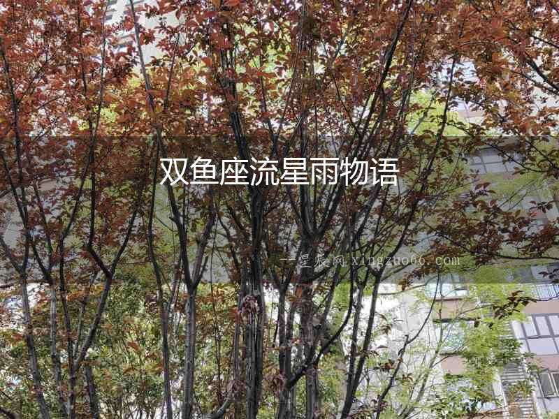 雙魚座流星雨物語(yǔ)