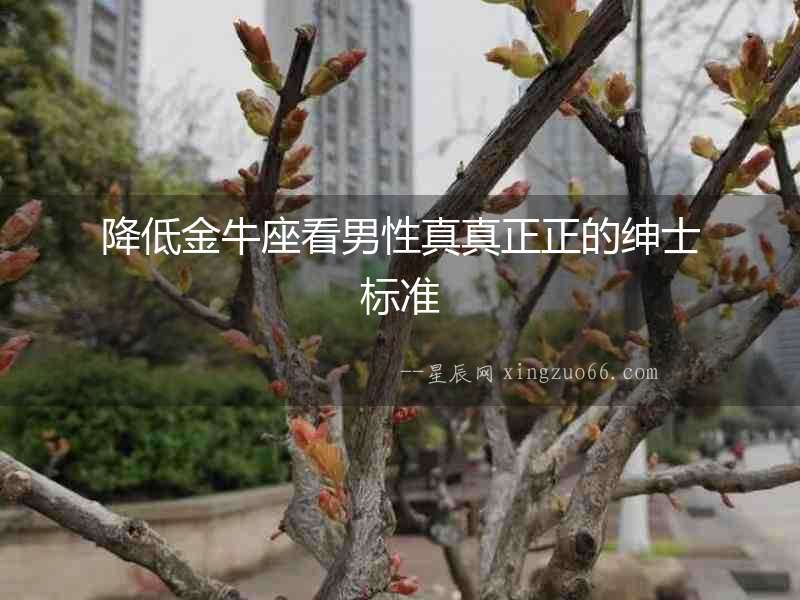 降低金牛座看男性真真正正的紳士標準
