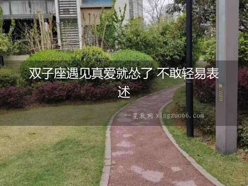 雙子座遇見真愛就慫了 不敢輕易表述