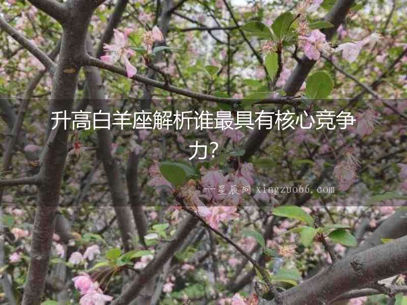 升高白羊座解析誰最具有核心競爭力？