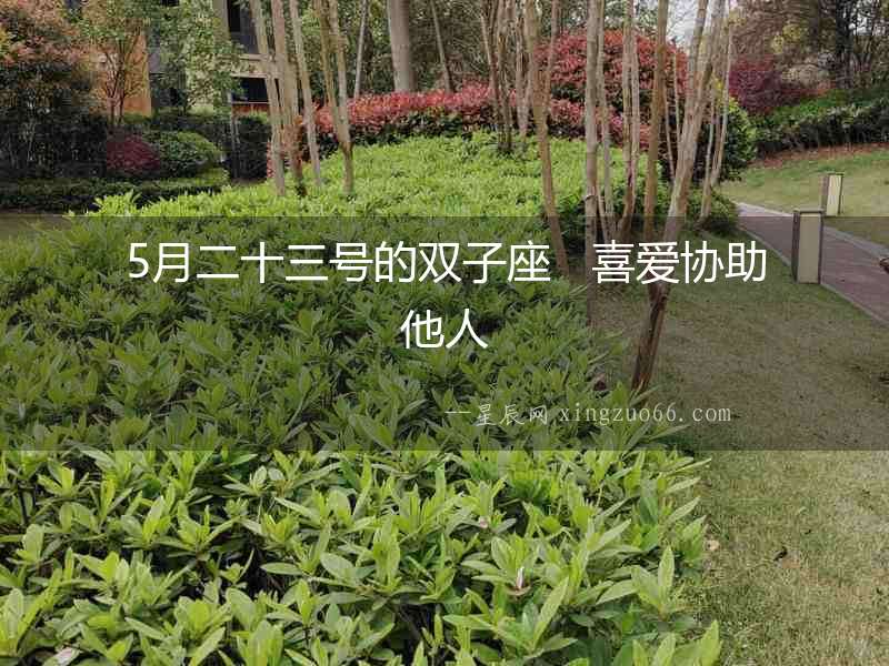 5月二十三號的雙子座   喜愛協助他人
