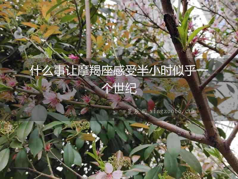 什么事讓摩羯座感受半小時(shí)似乎一個(gè)世紀(jì)