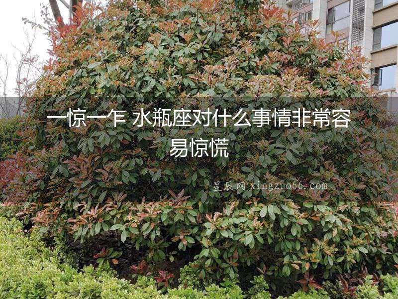 一驚一乍 水瓶座對什么事情非常容易驚慌