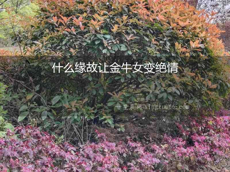 什么緣故讓金牛女變絕情