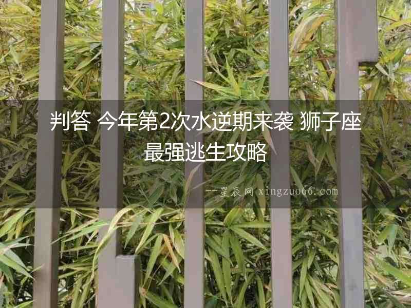 判答 今年第2次水逆期來襲 獅子座最強逃生攻略