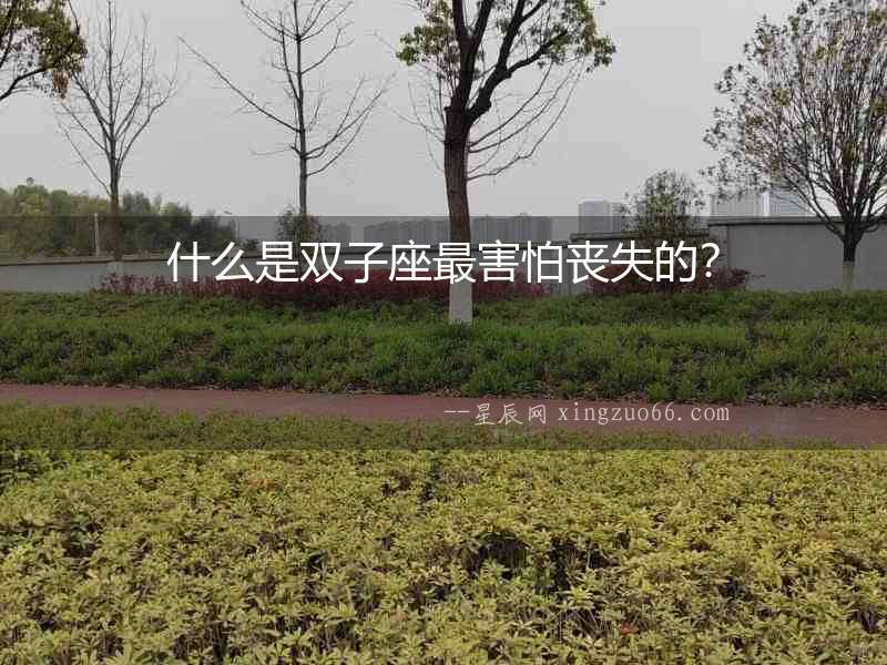 什么是雙子座最害怕喪失的？