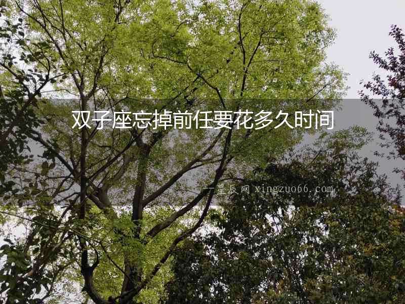 雙子座忘掉前任要花多久時(shí)間
