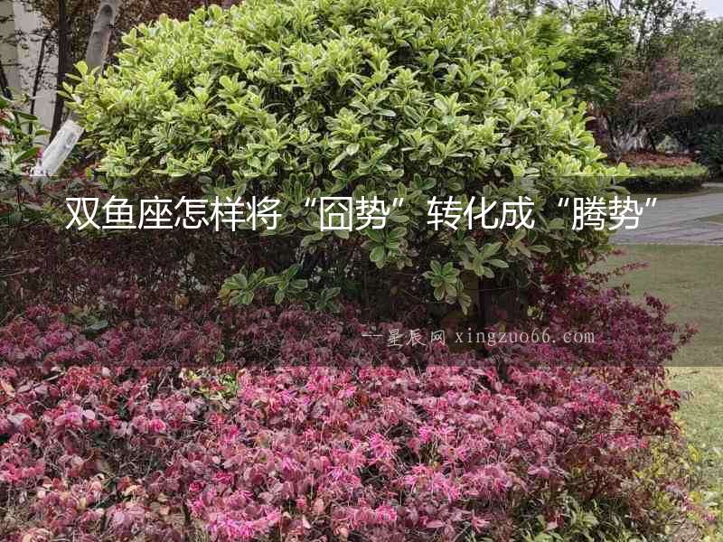 雙魚座怎樣將“囧勢”轉化成“騰勢”