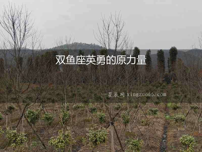 雙魚座英勇的原力量