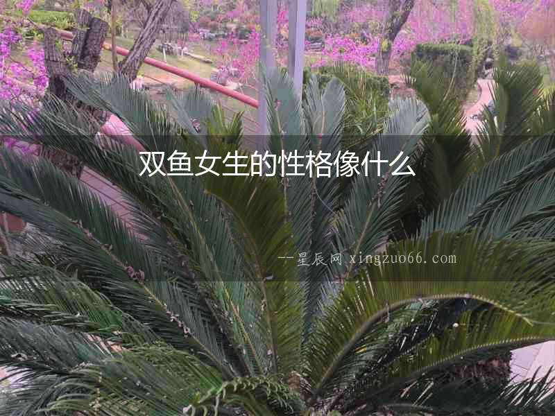 雙魚女生的性格像什么