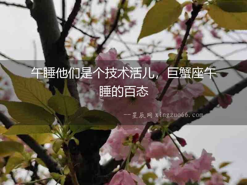 午睡他們是個技術活兒，巨蟹座午睡的百態