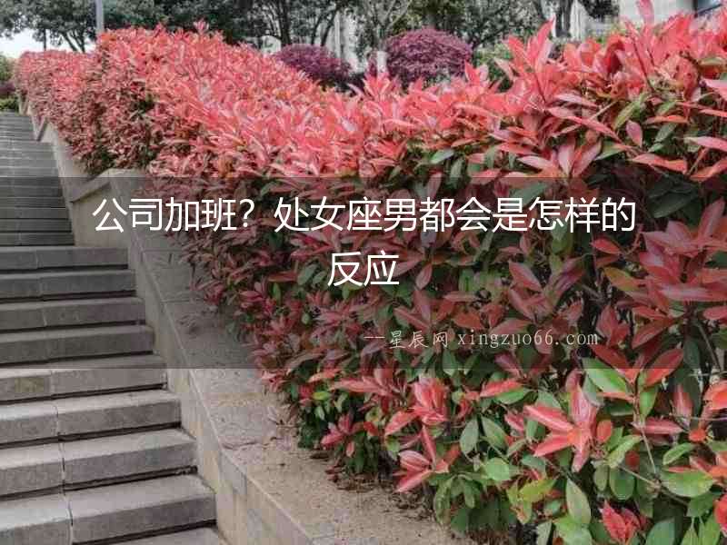 公司加班？處女座男都會是怎樣的反應