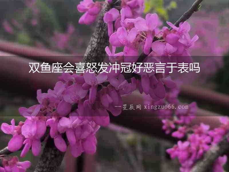 雙魚座會喜怒發沖冠好惡言于表嗎