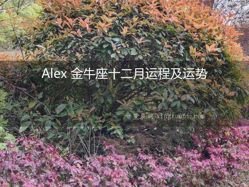 Alex 金牛座十二月運(yùn)程及運(yùn)勢(shì)