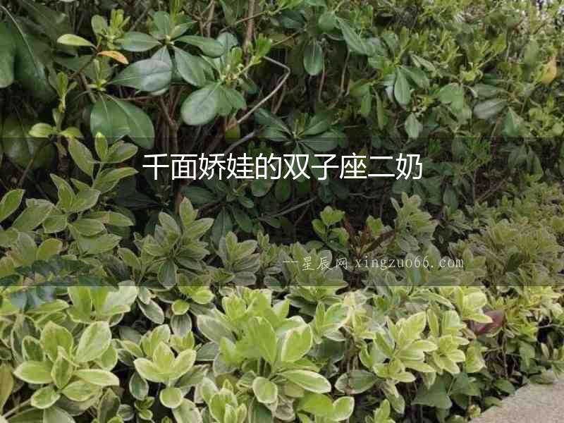 千面嬌娃的雙子座二奶
