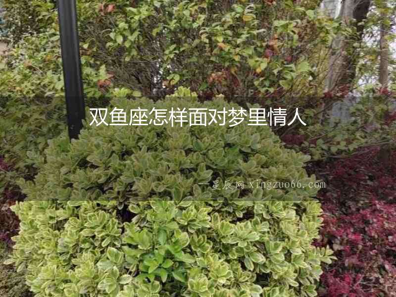 雙魚座怎樣面對夢里情人