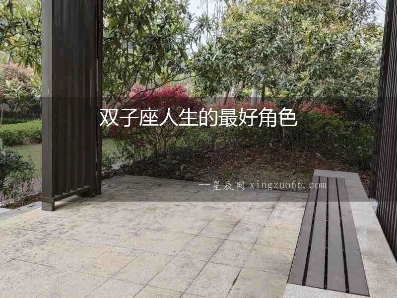 雙子座人生的最好角色