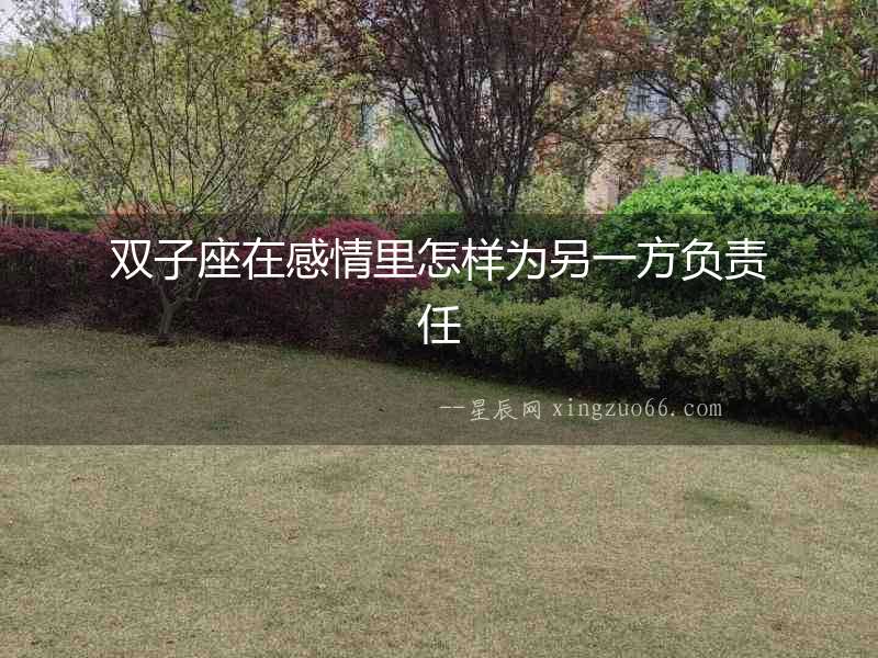 雙子座在感情里怎樣為另一方負責任