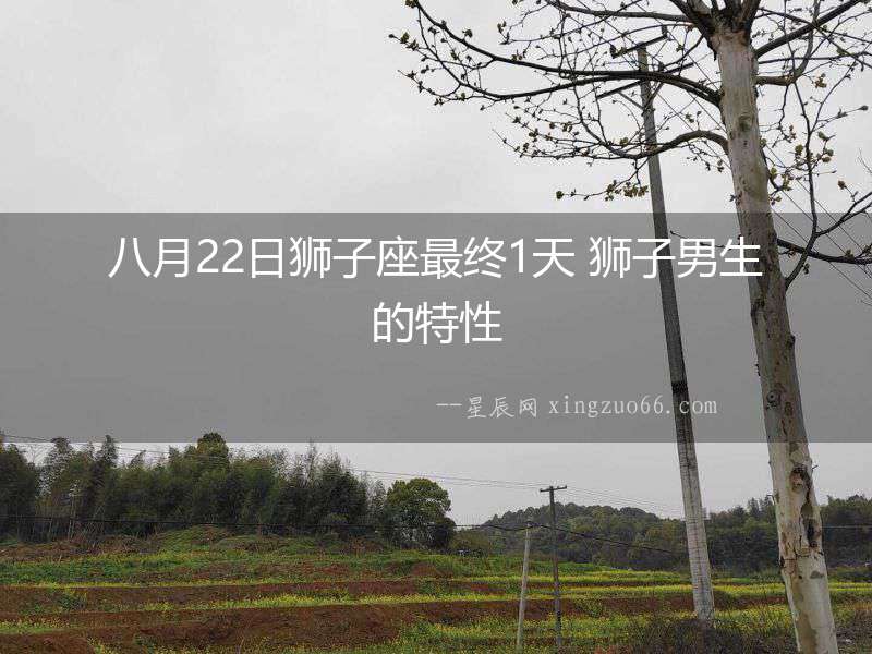 八月22日獅子座最終1天 獅子男生的特性